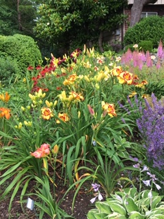 Gnoman’s Land Gardens